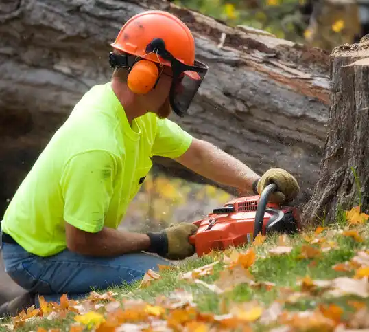 tree services Qulin